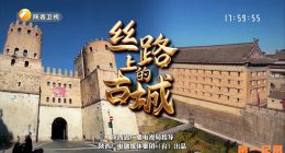 《丝路上的古城》2026.中国.历史[TS][1080i][国语中字][全10集]