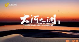 《大河之洲 第二季》2025.中国.人文[TS][1080i][国语中字][全2集]