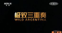 《极致三重奏》2020.美国.自然[TS][1080i][央视中文][全3集]