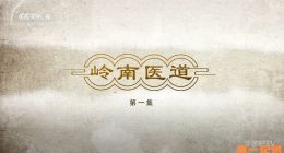 《岭南医道》2026.中国.文化[TS][1080i][央视中文][全3集]