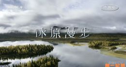 《冰原漫步》2024.瑞典.自然[TS][1080i][央视中文][全2集]