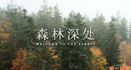 《森林深处》2025.德国.自然[TS][1080i][央视国配][全3集]
