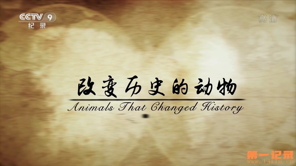 改变历史的动物(2016).jpg