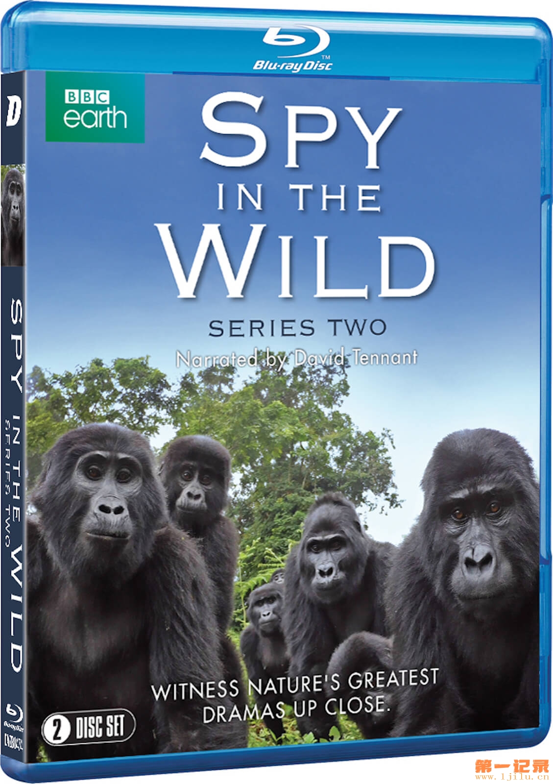 Spy in the wild - Season 2 [Blu-ray] [2020] (2).jpg