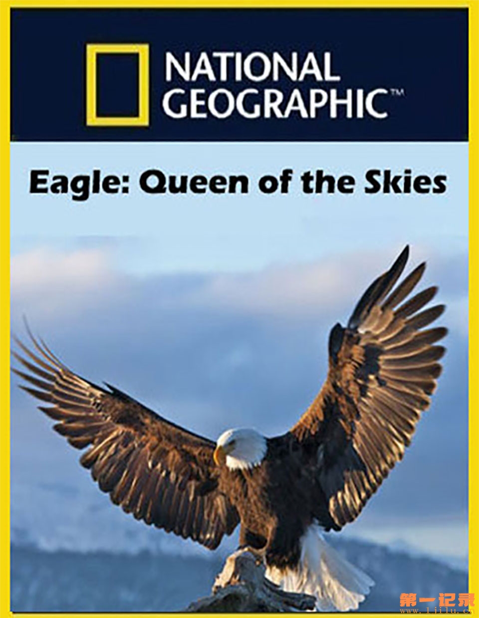 Natgeo Eagle - queen of the skies.jpg