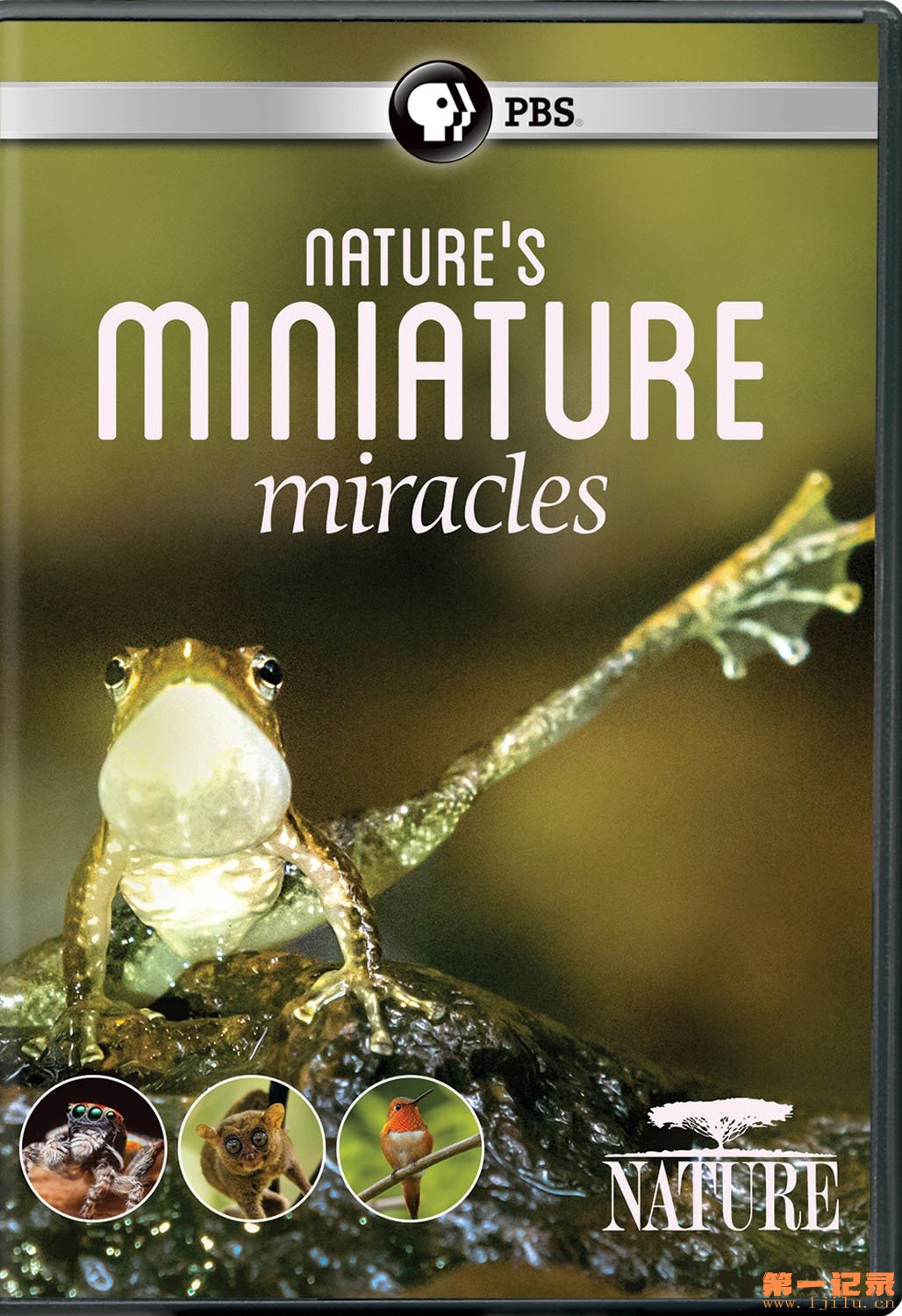 Natures-Miniature-Miracles.jpg