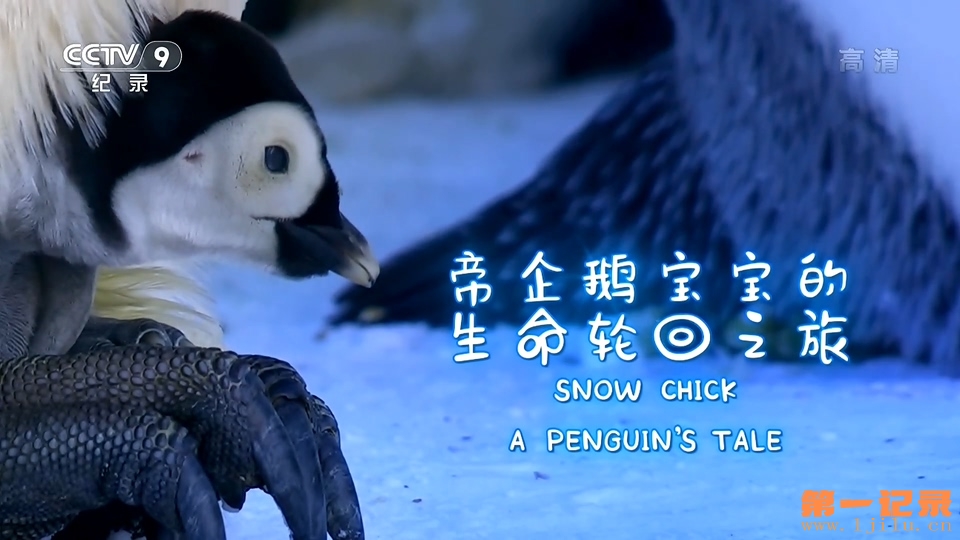 帝企鹅宝宝的生命轮回之旅 Snow Chick - A Penguin's Tale (2015).jpg