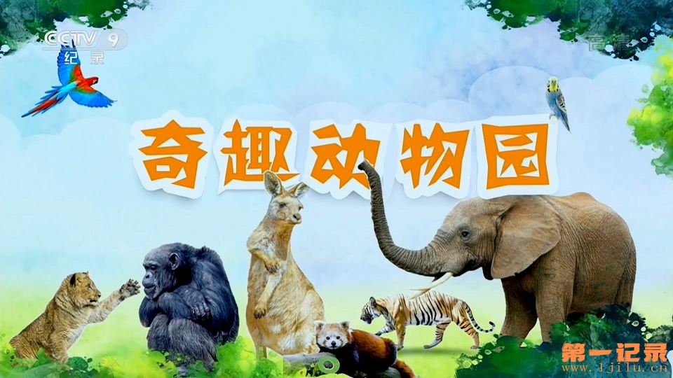 奇趣动物园(2020).jpg