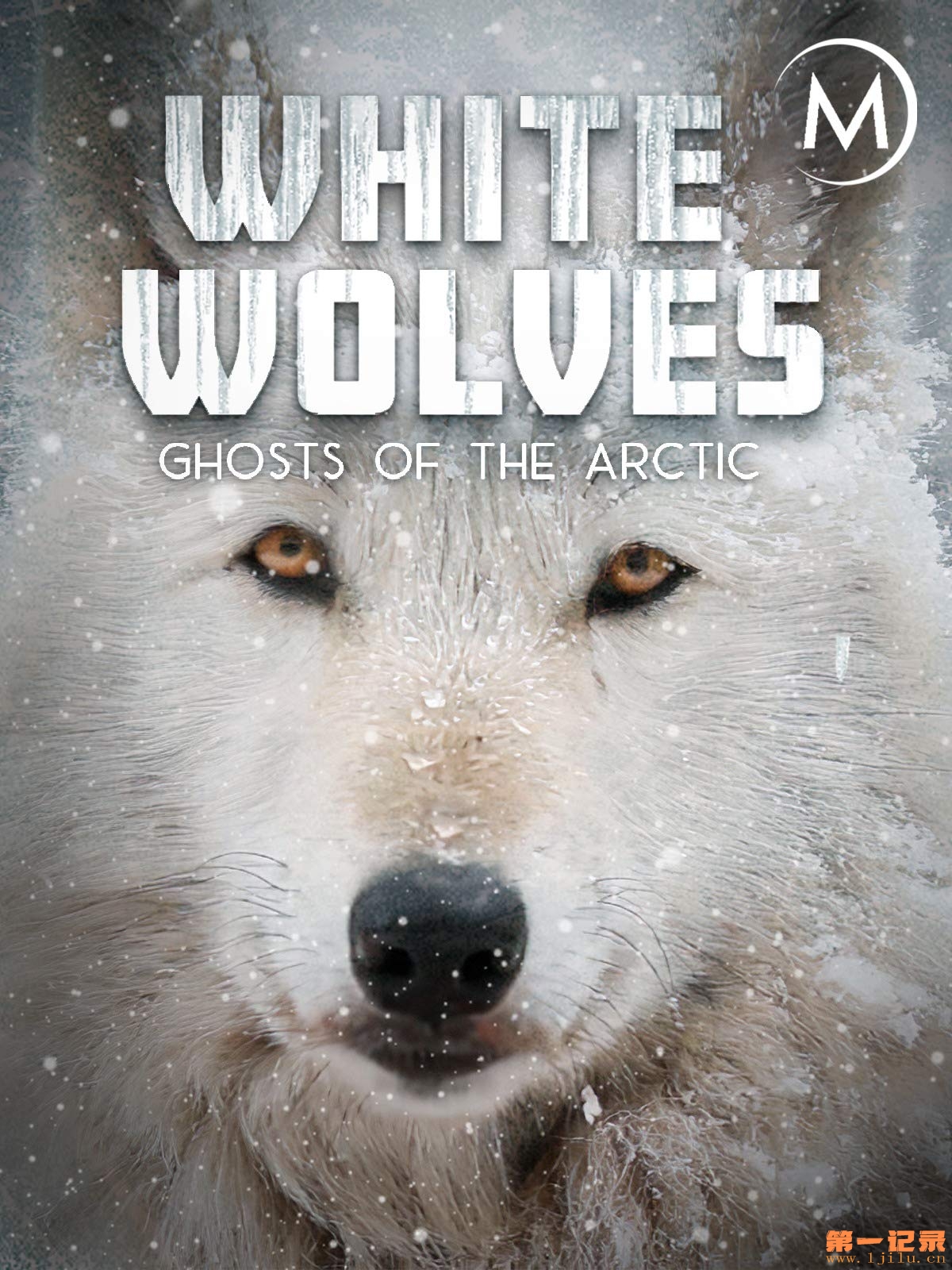 White Wolves： Ghosts of the Arctic(2017).jpg