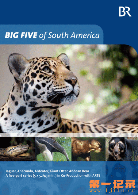 Big Five Südamerika (2012).gif