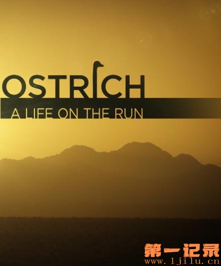 Ostrich_A_Life_on_the_Run.jpg