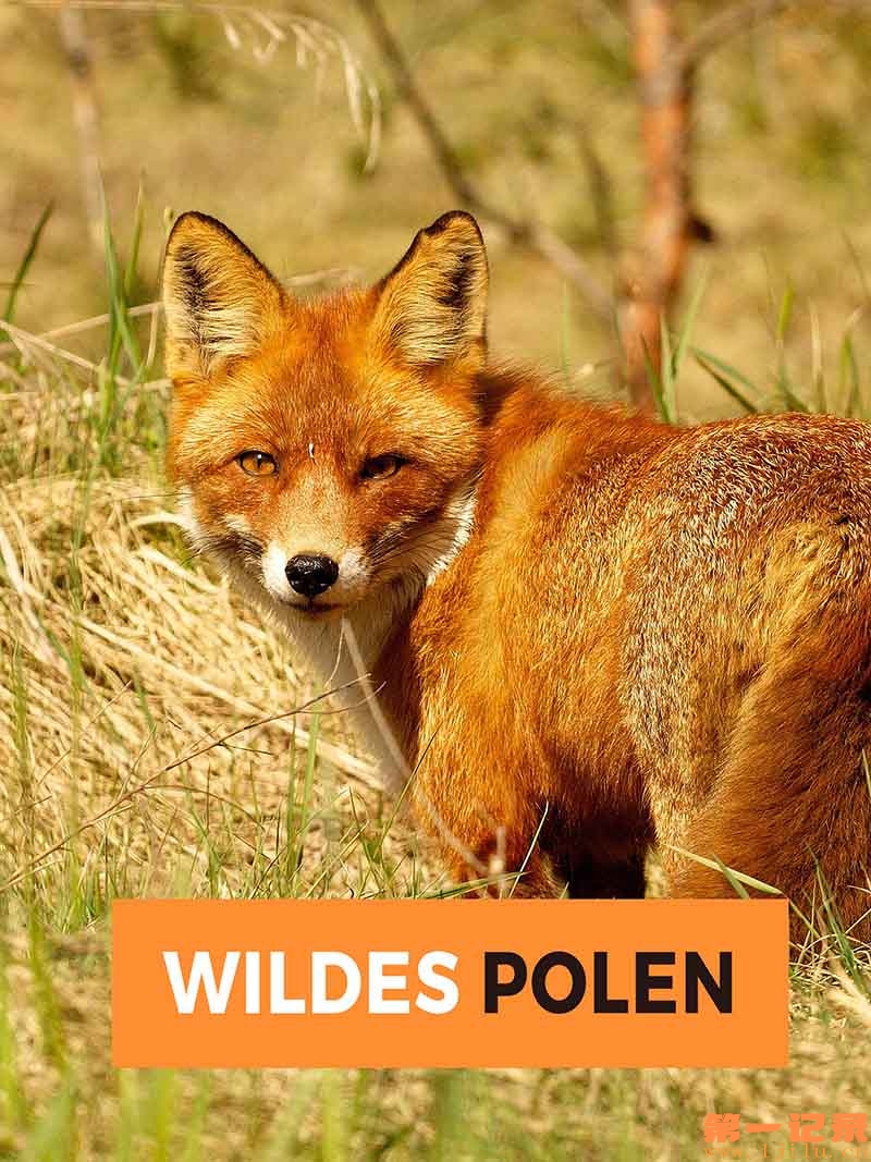 Wildes Polen.jpg