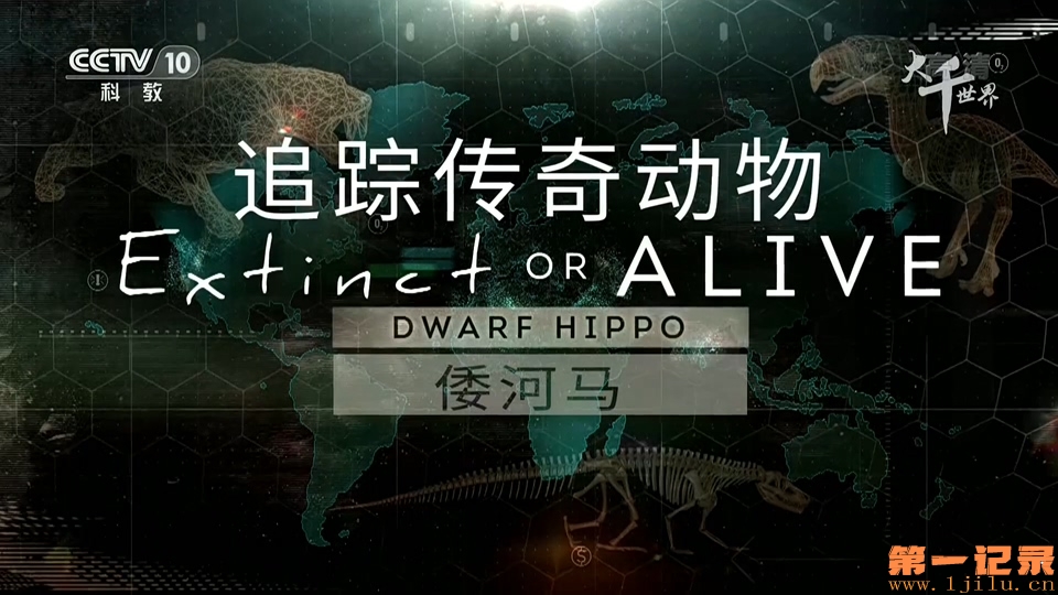 追踪传奇动物(2019).jpg