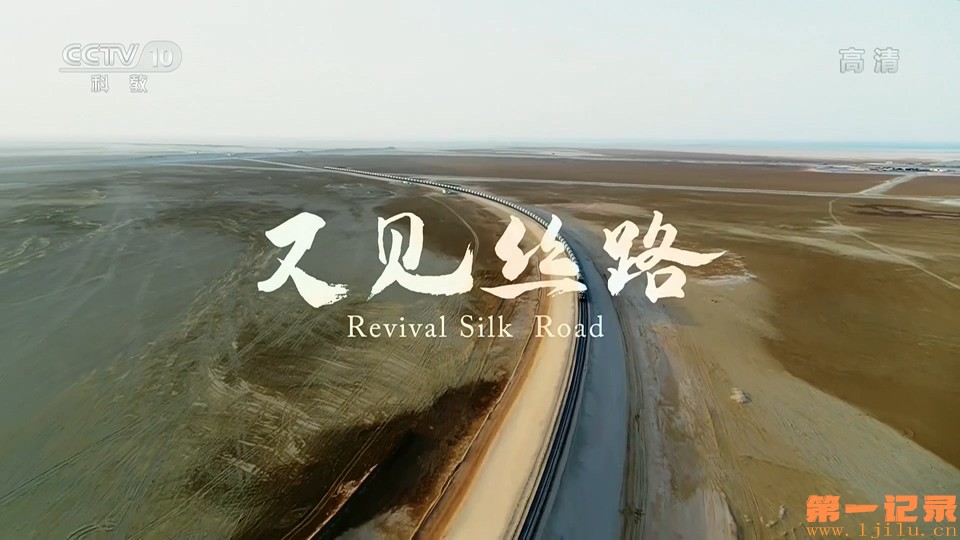 又见丝路(2021).jpg