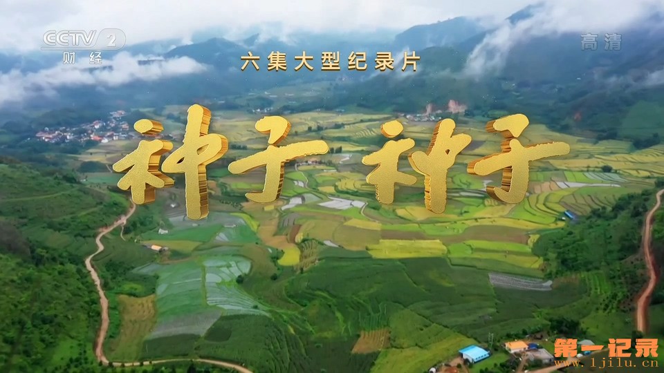 种子 种子(2020).jpg