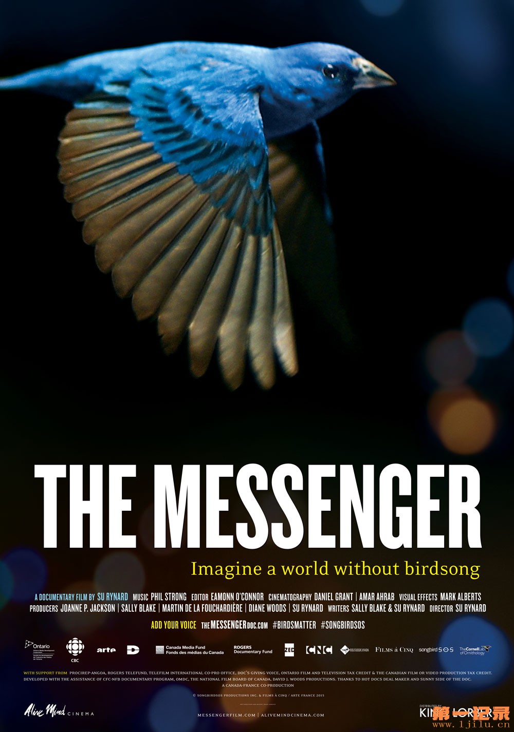 The Messenger .jpg