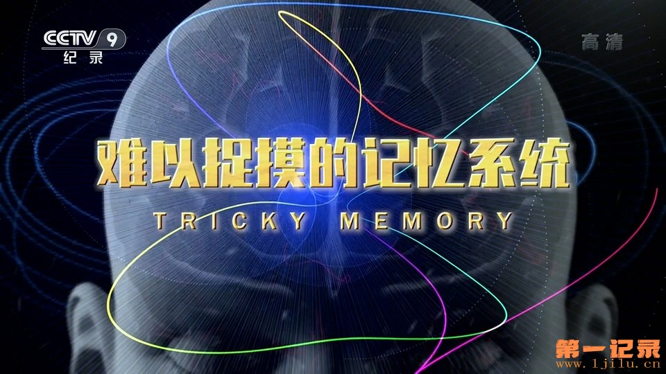 难以捉摸的记忆系统(2016).jpg