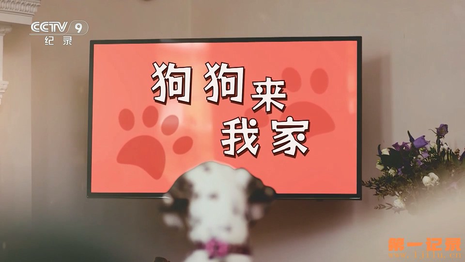 狗狗来我家(2020).jpg