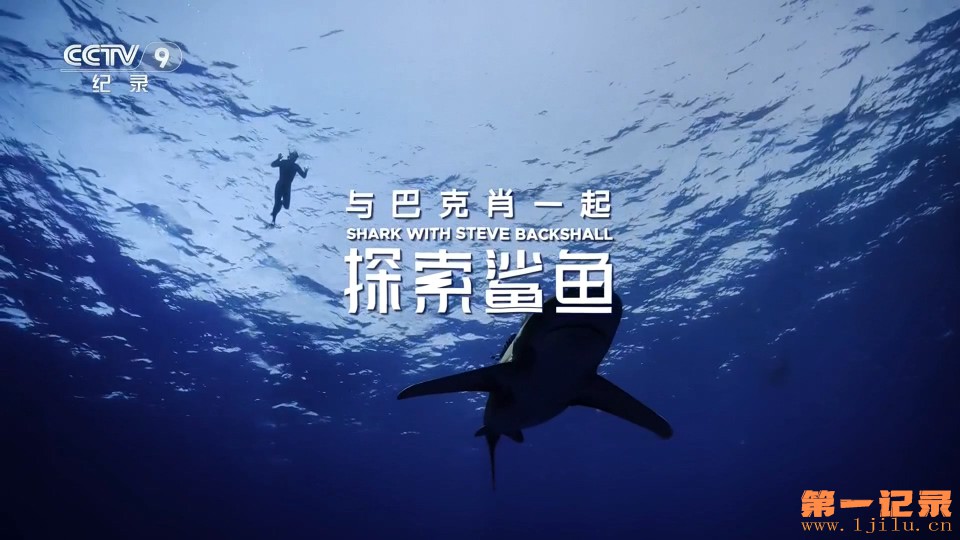 与巴克肖一起探索鲨鱼(2021).jpg