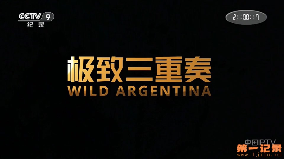 极致三重奏(2020).jpg