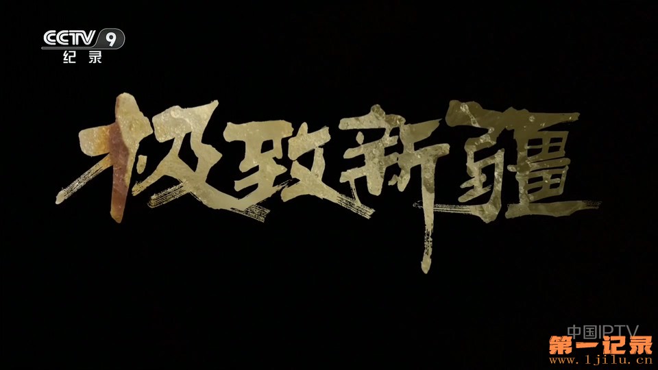 极致新疆 (2025).jpg