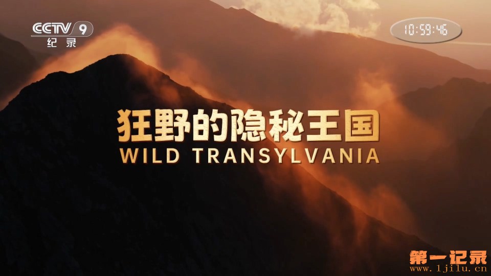 狂野的隐秘王国(2024).jpg