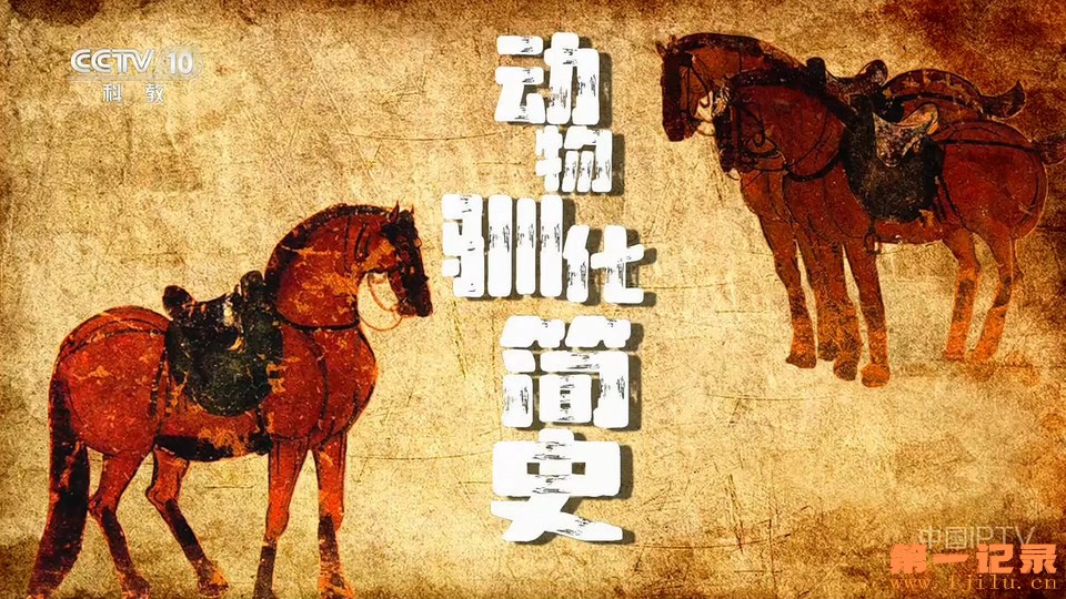 动物驯化简史(2025).jpg