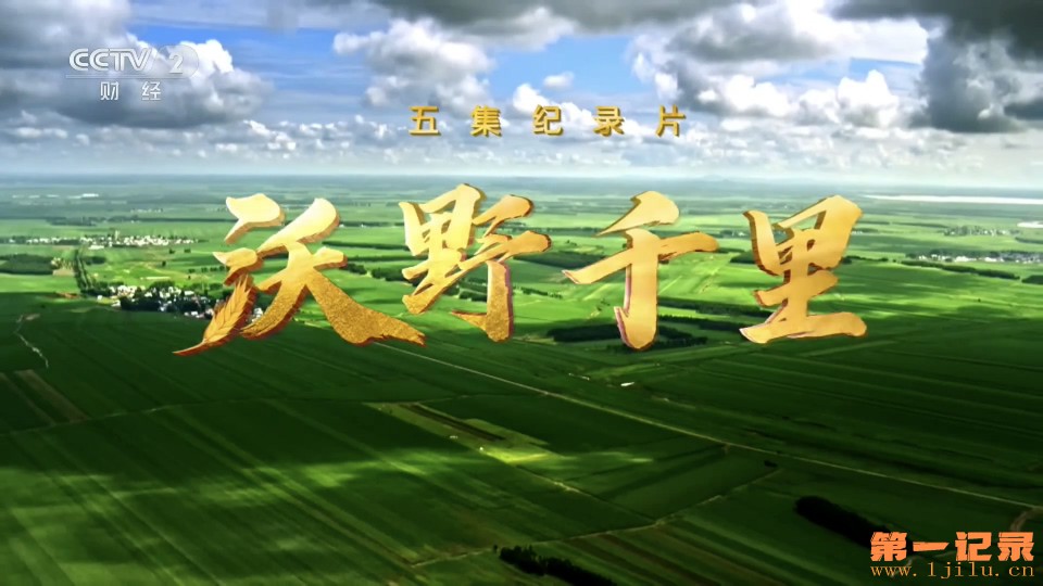 沃野千里 (2025).jpg