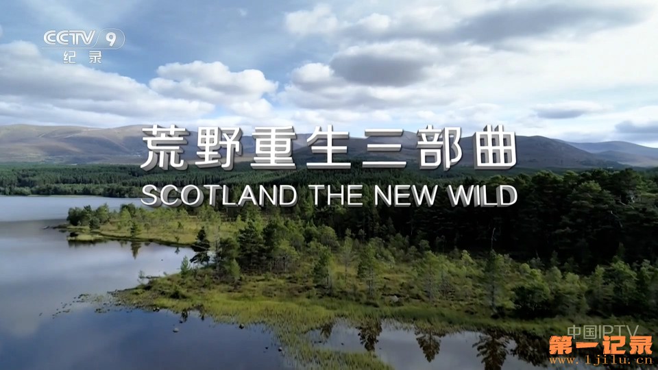 荒野重生三部曲(2023).jpg
