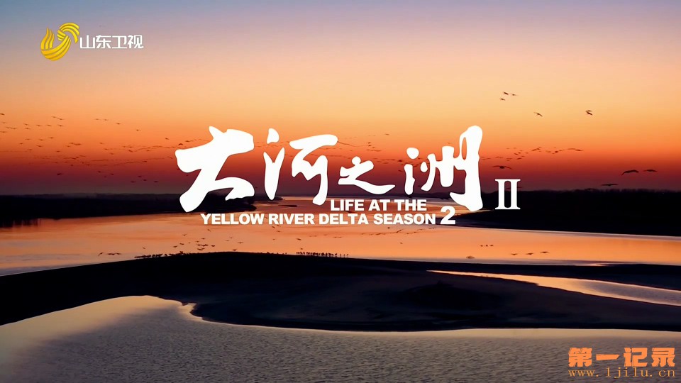 大河之洲II(2025).jpg
