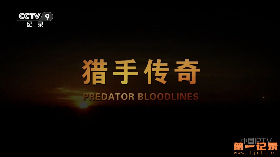 猎手传奇(2020).jpg