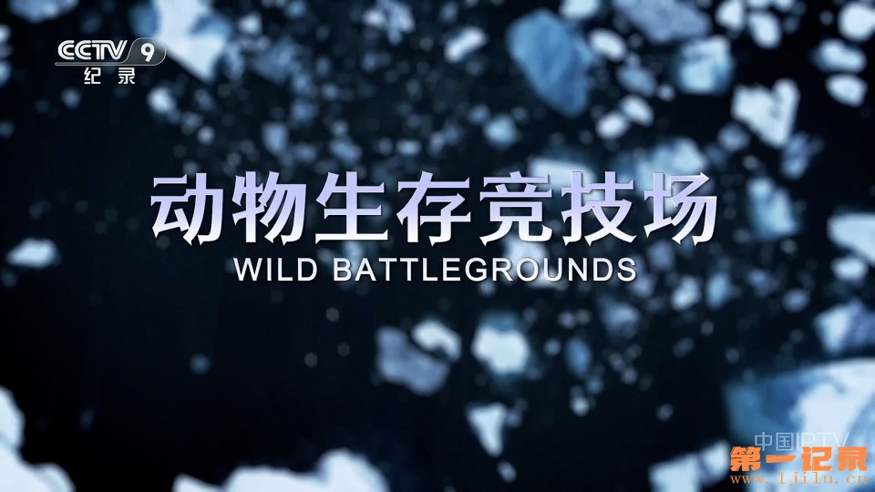动物生存竞技场(2023).jpg 动物生存竞技场(2023).jpg