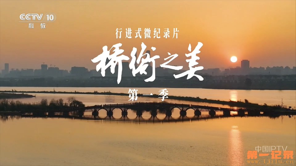 桥衡之美(2026).jpg