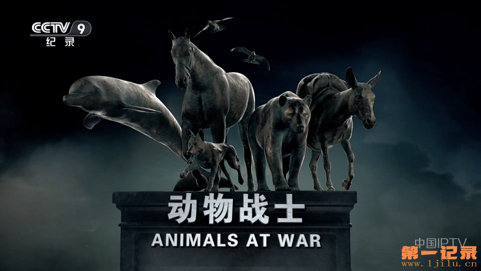 动物战士(2021).jpg