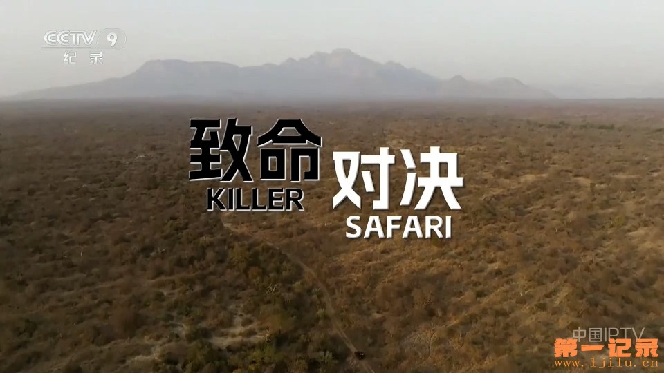 致命对决 Killer Safari (2025).jpg