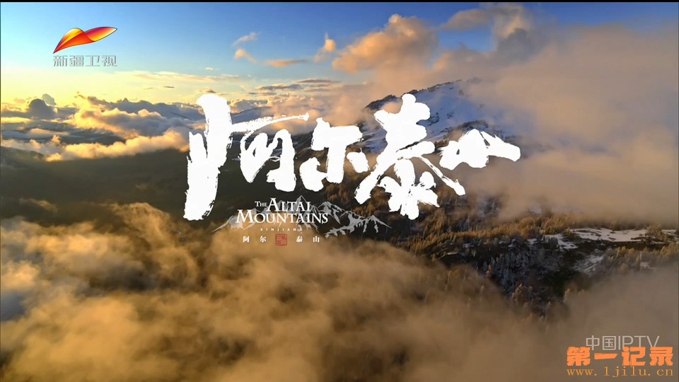 阿尔泰山(2023).jpg
