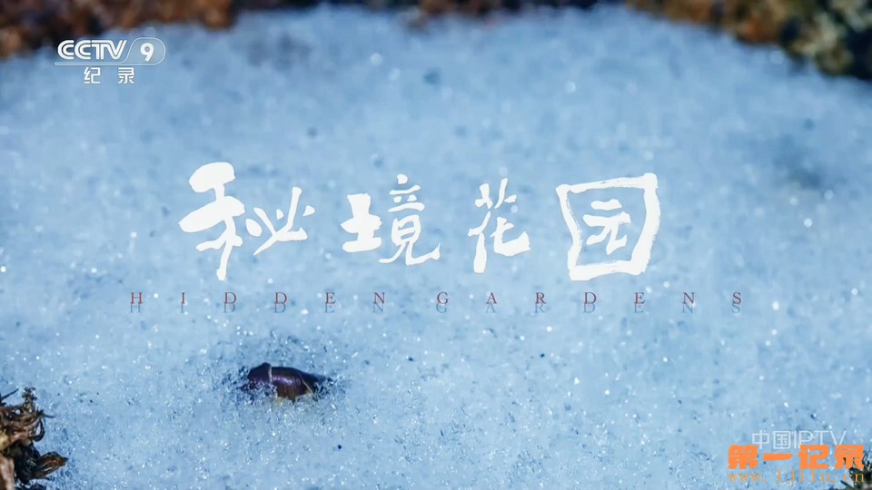 秘境花园(2026).jpg