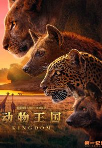 《动物王国》2025.英国.动物[MP4][2160p][国语中字][全6集]